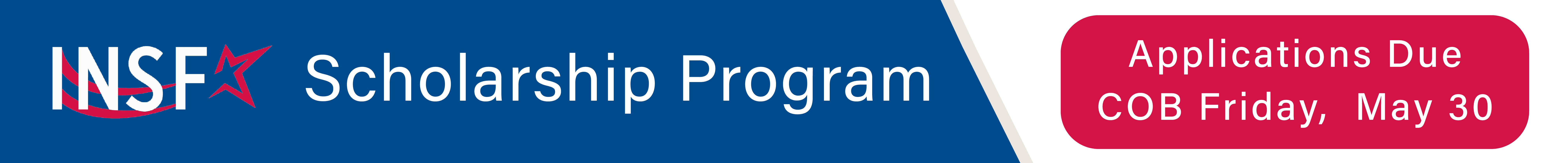 INSA Foundation Scholarship Program